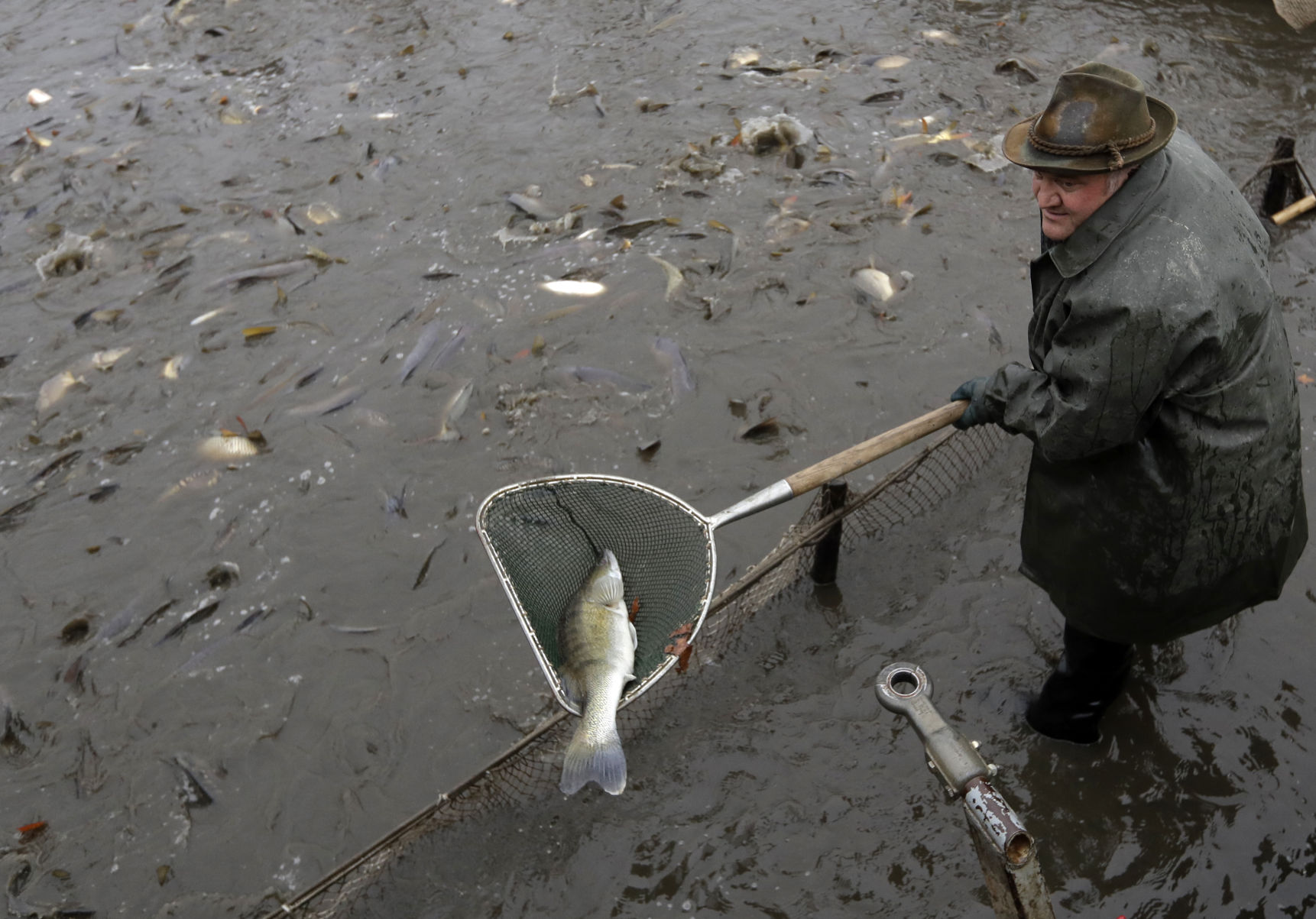 Czech Republic Carp Catching Photo Gallery